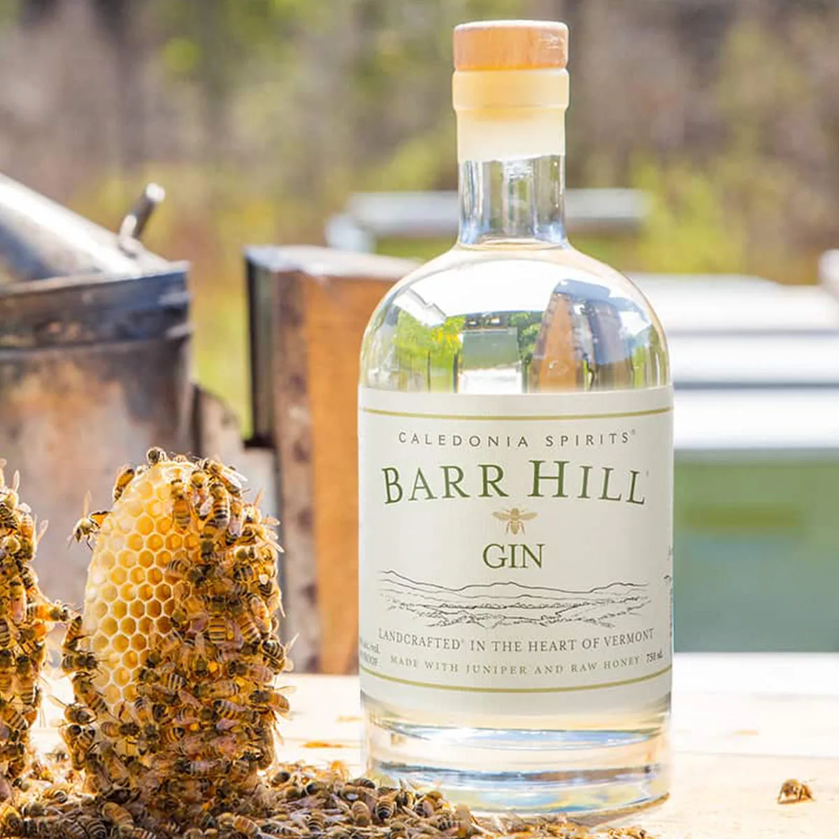 Garrafa de Barr Hill Gin ao lado de favos de mel