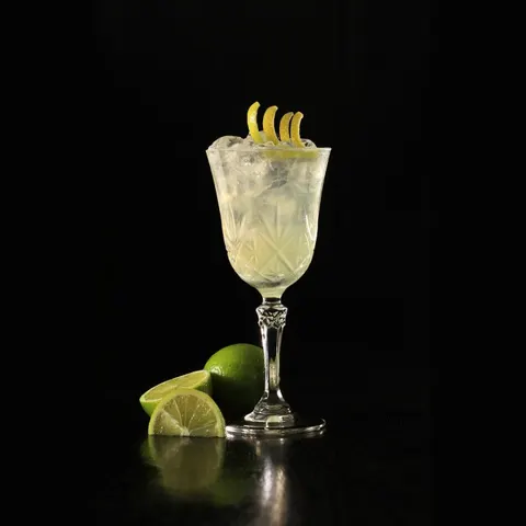 Gin Sour